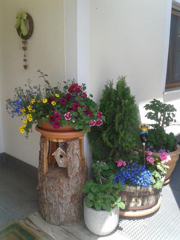 Appartements Faerberhof Olang المظهر الخارجي الصورة
